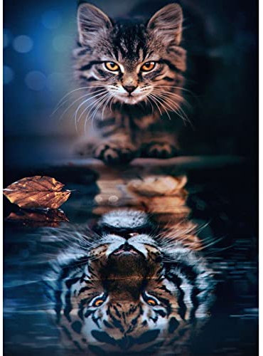 DAERLE Diamond Painting Katze, 5D Diamantmalerei, Diamond Painting, Diamant-Malset Katze, Katze und Tiger, Diamant-Stickerei, komplettes Set, Wanddekoration für den Innenbereich (30 x 40 cm)