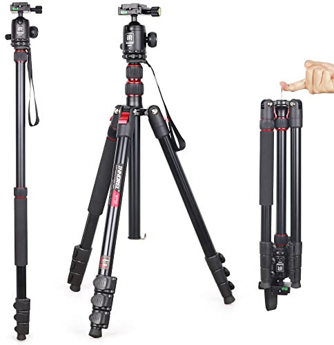 Professionelles Kamerastativ Hohes Einbeinstativ-INNOREL RT30, Leichtes Aluminium-Legierung Schneller Flip-Verschluss Maximale Höhe 197cm mit B36N CNC 36mm Panoramakugelkopf für DSLR-Kamera-Aufnahmen