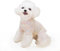 YAODHAOD Hundepullover für Kleine Hunde, Katzenpullover,Strickpullover Plüsch Weich Comfort Warm für Kleine Hunde und Katzen (Rosa, M)