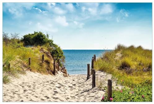 Wallario Küchenrückwand selbstklebend 90 x 60 cm, Motiv: Auf dem Sandweg zum Strand | Spritzschutz abwischbar & pflegeleicht