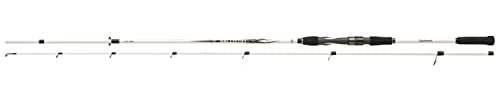 Daiwa Ballistic LTD Big Bait 2,55m 50-110g Hechtrute