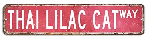 BYRON HOYLE Thai Lilac Cat Targa in Metallo Thai Lilla Cat Sign Thai Lilac Cat Regalo Thai Lilac Cat Vintage Decor Divertente Custom Street Metal Sign Shabby Chic Wall Art Wall Hanger Home Decor