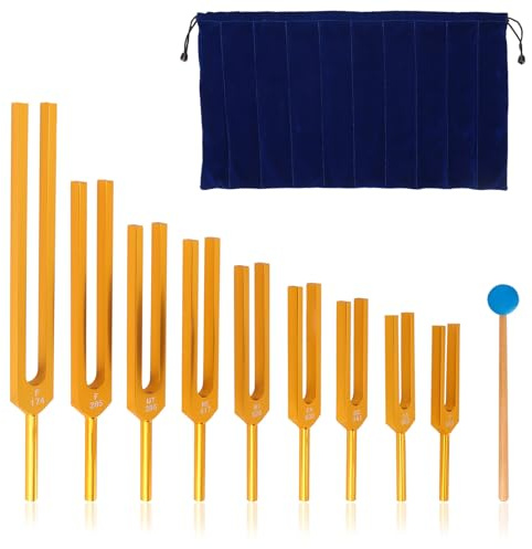 Stimmgabel Set, Instrument Stimmgabel Chakra Set Edelstahl, Frequenzgerät mit Hammer Stimmgabeln Striker​ & Tasche enthalten für Meditation Yoga, Entspannungstherapie (174Hz-963Hz)