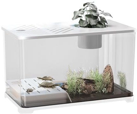 Betta Fischbecken - Großes Aquarium Goldfisch Starterset,Modernes Panorama Behältnis als Tischdekoration für Fische Schildkröten Pflanzen