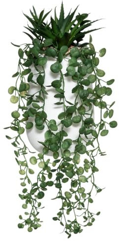 JJA Composition Plante GRASSE RETOMBANTE 33CM