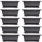 Baaly 10 Packungen Bonsai Trainings Töpfe mit Tablett Kunststoff Bonsai Pflanzen Topf für Garten Wohnen Balkon 16,5X12Cm
