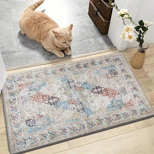 AMEHA Door Mats Outdoor Indoor 40 x 60 cm, Heavy Duty Door Matts Indoor, High Absorbent Non Slip Floor Mat Welcome Entrance Doormats Machine Washable Low Profile Doormat (Coastal)