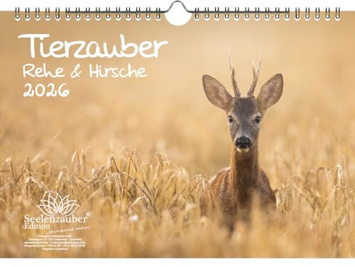 Tierzauber Rehe & Hirsche DIN A4 Kalender für 2026 - Geschenkset Inhalt: 1x Kalender, 1x Weihnachtsanhänger (insgesamt 2 Teile)