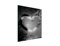 DarHaus Herdabdeckplatte einteilig 45x52 cm Ceranfeld Abdeckung Glas Spritzschutz Abdeckplatte Glasplatte Herd Ceranfeldabdeckung Deko, Herz Silber