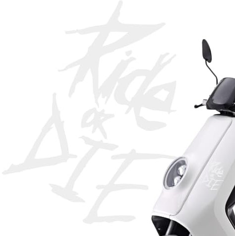 6 Stück Ride Or Die Aufkleber Lustige Auto Aufkleber 'Ride Or Die', Autofensteraufkleber, Wasserfester Aufkleber Lustig Ride Or Die Dekorativer Aufkleber Für Motocross Mountainbike Helm Laptop E-Bike
