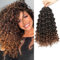 Lanse Gogo Curl Crochet Hair 18 Inch 8 Packs Ombre Brown Ocean Wave Deep Twist Goddess Box Braids Pre Looped Long Curly Water Wave Synthetic Braiding Hair for Women Girl Kids (T/30, 18inch)