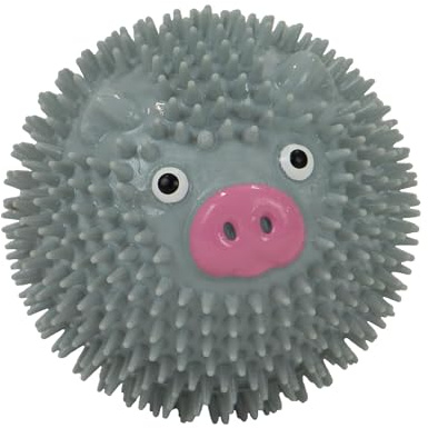 Ancol Small Bite Spikey Pig Ball Ideal for Puppies and Smaller Dogs