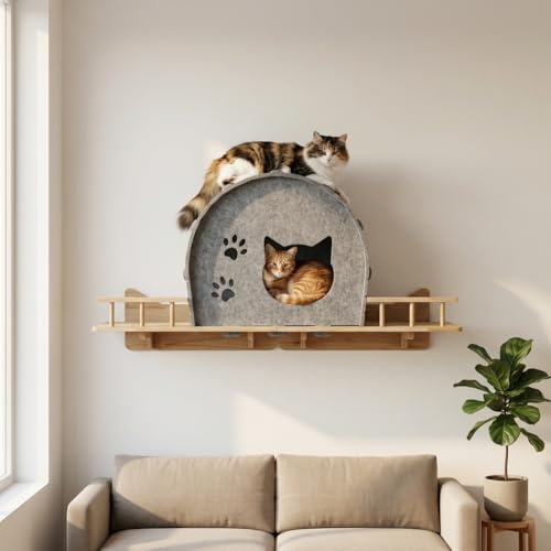 Großes Katzenhöhlenbett zur Wandmontage mit geschlossenem Design - Schwebendes Katzenwandregal aus Holz zum Klettern & Schlafen, gemütliches Katzenhaus, platzsparende Katzenmöbel für Indoor-Katzen
