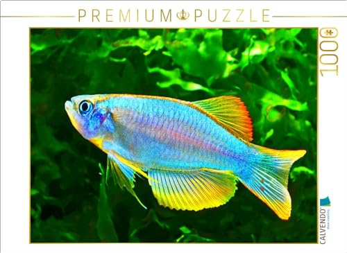 CALVENDO Puzzle Procatopus similis | 1000 Teile Lege-Größe 64 x 48 cm Foto-Puzzle für glückliche Stunden
