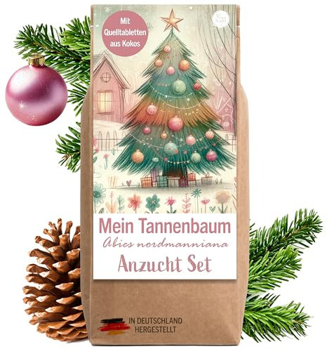 Little Plants Weihnachtsbaum Anzuchtset - Christbaum, Adventskalender Füllung, Wichtelgeschenk, Weihnachtsbaum in der Dose, Adventskalender befüllen Inhalt, Tannenbaum Geschenk Set (Variante 1)