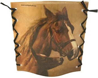 Stimmungslicht Pferde