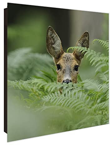 banjado Großer Schlüsselkasten Glas - Schlüsselbox 30x30cm mit 50 Haken - Schlüsselkasten modern für Schlüsselaufbewahrung mit beschreibbarer, magnetischer Glastür - Motiv REH