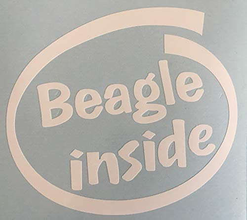 SCOOBY DESIGNS Auto-Fensteraufkleber Beagle Inside