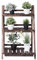 COSTWAY 3 Ebene Blumentreppe klappbar, Pflanzenregal aus Holz, Blumenregal für Indoor Outdoor, Pflanzenleiter Pflanzenständer Leiterregal für Garten, Balkon, 60 x 32 x 93 cm