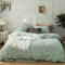 Michorinee Housse de Couette 220 x 240 cm Vert Clair - Parure de Lit Adulte 2 Personnes avec Fermeture Éclair Sets de Housse Couette en Microfibre avec 2 Taie d'oreiller 65x65 cm