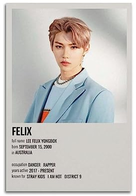 Stray Kids Members Felix Poster Felix Präsentation Poster Koreanisches Pop Boy Band Poster
