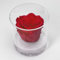 Premium-rose.com Box Tondo con Rosa Rossa stabilizzata Profumata, Box Trasparente da 9cm con Rosa Rossa Vera Eterna|Idea Regalo Natale,Fidanzata,Compleanno,Laurea |Fatto in Italia(Rossa 1040)