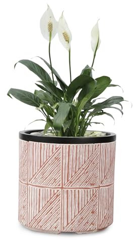 VOSSMOON 20cm Plant Pots Indoor Round Flowerpots, Large Garden Concrete Planter Outdoor Durable than Ceramic or Plasic Plant Pots, Plant Containers with Drainage Holes, Pink