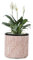 VOSSMOON 20cm Plant Pots Indoor Round Flowerpots, Large Garden Concrete Planter Outdoor Durable than Ceramic or Plasic Plant Pots, Plant Containers with Drainage Holes, Pink