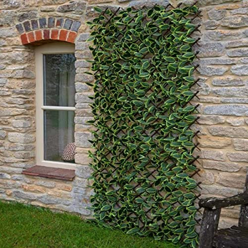 Garden Mile Hosta Leaf Screening Panel Fence Privacy Screen for Garden Artificial Trellis Living Wall Panel Topiary Expandable Trellis Privacy Fence Screening 180 x 60cm