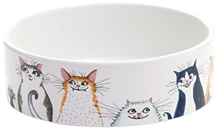 BIA International - Cat Bowl - From Wags to Whiskers - Cat Food Bowl - Fun Cat Bowls - Wacky Pet Bowls - Cat Accessories - Cat Water Bowl