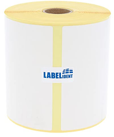 Versandetiketten DHL, DPD, Fedex, GLS, Hermes, UPS - 100 x 170 mm - 330 Thermo-Eco Papier Etiketten auf 1 Rolle(n) mit 25 mm Kern, Thermodirekt Etiketten selbstklebend, Trägerperfo.