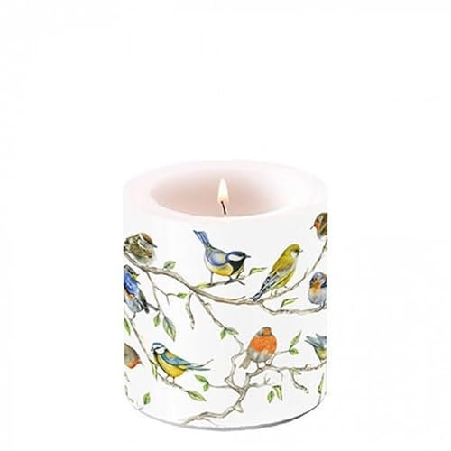 Ambiente Kerze Vogel Treff - Pillar Candle, Neutral Duft, Zylindrisch, 8 cm Höhe, 7,5 cm Durchmesser, ca. 35 Stunden Brenndauer