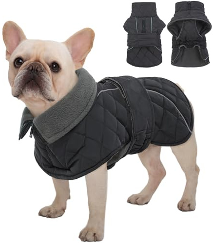 Kuoser Hundemantel für Kleine Mittlere Hunde, Wasserdichter Wintermantel für Hunde, Bequeme Warme Hundejacke mit Fleece, Elastischer Bauch & Klettverschluss, M Dunkel Grau