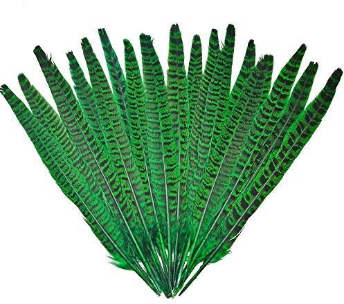 20 plumas de faisán, plumas de cola naturales para decoración de sombreros de pelo (verde)