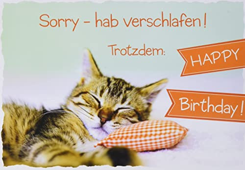 Perleberg Nachträglich Basic Classic - Katze - Sorry - 11,6 x 16,6 cm, 7560003-2