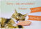 Perleberg Nachträglich Basic Classic - Katze - Sorry - 11,6 x 16,6 cm, 7560003-2