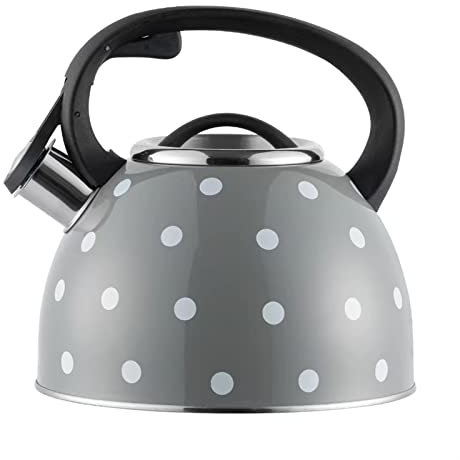 ZATTYDV Teiera con infusore, bollitore in Acciaio Inox per fornello, Acqua bollente, bollitore da 3 Litri, bollitore da Cucina con fischio, scaldabagno