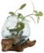CASA Moro Racine Aver Vase en Verre recyclé, Bol décoratif en Bois de Teck Fait Main, Diamètre 15 cm I A15