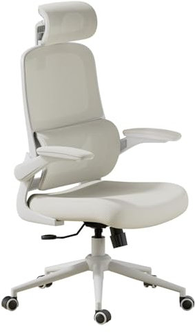 Hbada P1 Bürostuhl Ergonomischer, Schreibtischstuhl mit Verstellbarer Lendenstütze, Schreibtischstuhl für das Home Office mit 2D Kopfstütze, klappbaren Armlehnen, drehbarer Computerstuhl, grau