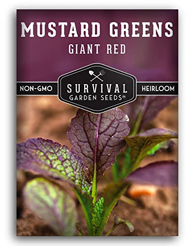 Giant Red Mustard Green Seeds for Planting – Heirloom Non-GMO Spicy Burgundy Leaves for Fall and Spring Gardens, Ornamental Culinary Variety - Survival Garden Seeds (1 Pack)