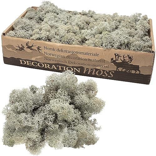 Karton Islandmoos Grau 500g