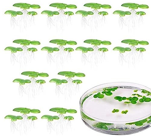 Wudaizhi 18pcs Mini Fake Duckweed, Artificial Floating Duckweed, Plastic Aquarium Simulation Floating Plants for Fish Tank Decor