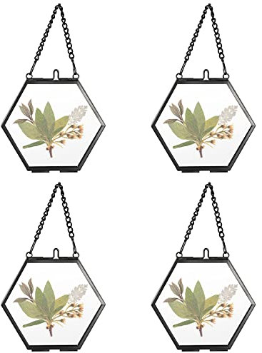 SUMTree 4 Pcs Mini-Hexagon Bilderrahmen aus Metall und Glas Hängende Glas Fotorahmen Geometrische Ornament Pflanze Probe Clip Für gepresste Blumen Fotos(Schwarz,5cm)
