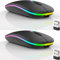 Lot de 2 souris Bluetooth sans fil, LED double mode, rechargeables, silencieuses, minces, portables (BT5.2 + récepteur USB) double mode, pour ordinateur portable, ordinateur de bureau, iPad, tablette,