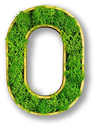 Moosly® Moosbild - O - mit Rahmen aus Holz, Moos Deko Buchstaben Zeichen Symbol Zahl Holzbuchstabe mit echtem Islandmoos Wandtattoo Wandsticker Wandbild selbstklebend Wohnzimmer (116 O)