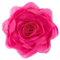 JWH Decorative Flower Throw Pillow Covers Aesthetic Floral Accent Pillow Cases Round Cushion Organza Pillowcase for Car Sofa Couch Living Room 12 Inch Hot Pink