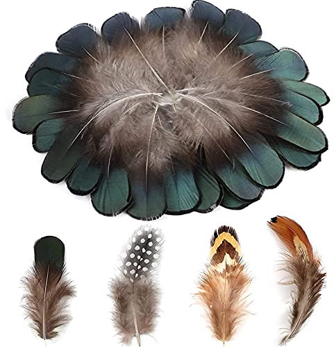 MWOOT 200 Natur Federn zum Basteln, Deko Bastelfeder, Klein Hühnerfeder für DIY Traumfänger Halloween Kostüm Karneval Masken Weihnacten Kranz Ostern Zubehör, Schwarz Braun Grün Federn, Crafts Feather
