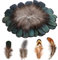 MWOOT 200 Natur Federn zum Basteln, Deko Bastelfeder, Klein Hühnerfeder für DIY Traumfänger Halloween Kostüm Karneval Masken Weihnacten Kranz Ostern Zubehör, Schwarz Braun Grün Federn, Crafts Feather