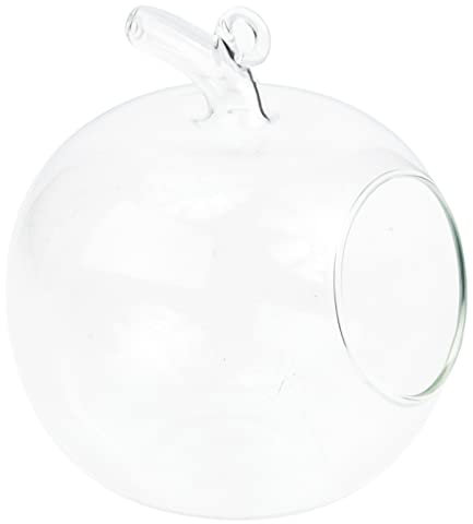 Happyyami Vase Décoratif en Verre Transparent en Forme De Pomme pour Micro Paysage Et Arrangements Floraux À La Maison