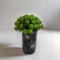 EASTANA Vase für perfekte Kamera-Verkleidung, vielseitige Camouflage-Kamera, Verkleidung, Vase, versteckter Ring, Kamera, Videotürklingel, versteckte Sicherheitskamera